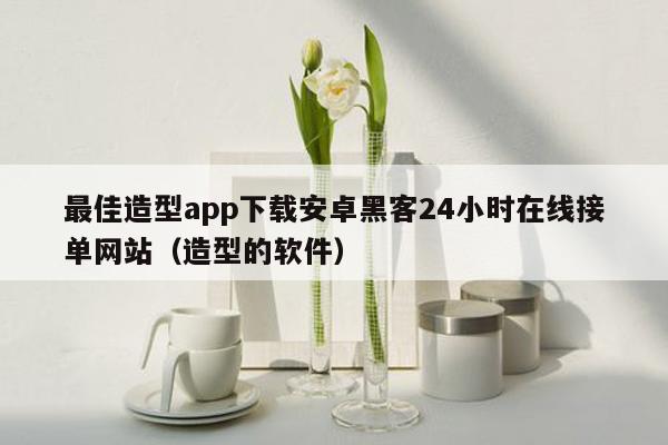 最佳造型app下载安卓黑客24小时在线接单网站（造型的软件）