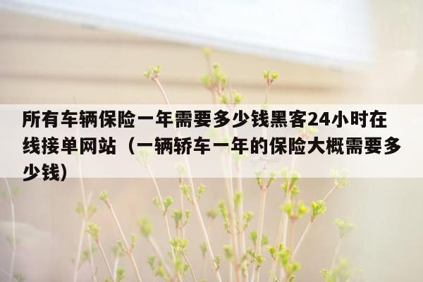 所有车辆保险一年需要多少钱黑客24小时在线接单网站（一辆轿车一年的保险大概需要多少钱）