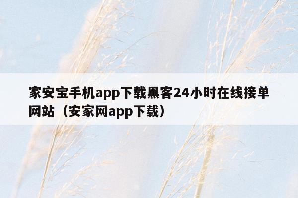 家安宝手机app下载黑客24小时在线接单网站（安家网app下载）