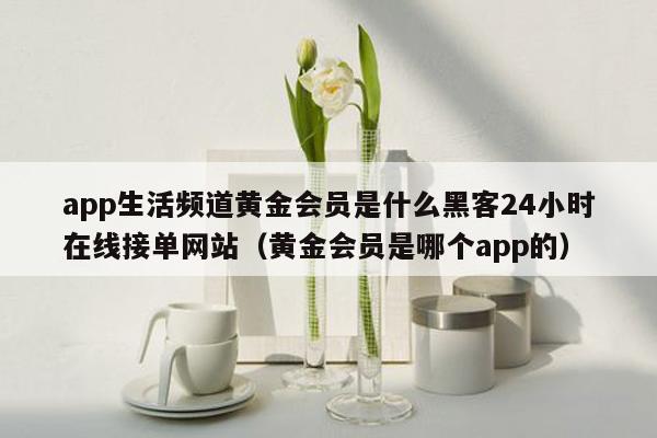 app生活频道黄金会员是什么黑客24小时在线接单网站（黄金会员是哪个app的）