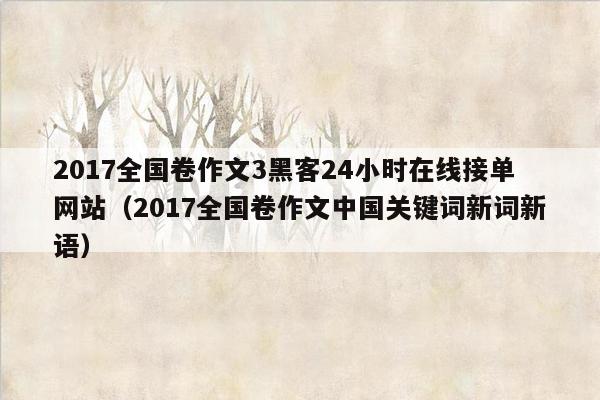 2017全国卷作文3黑客24小时在线接单网站（2017全国卷作文中国关键词新词新语）