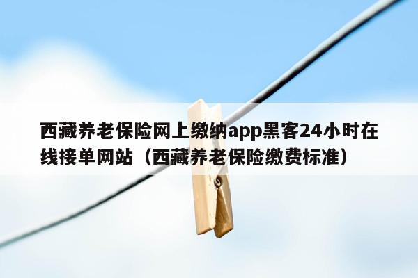 西藏养老保险网上缴纳app黑客24小时在线接单网站（西藏养老保险缴费标准）