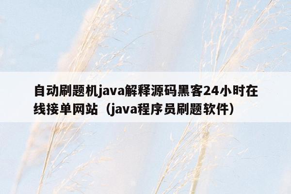 自动刷题机java解释源码黑客24小时在线接单网站（java程序员刷题软件）