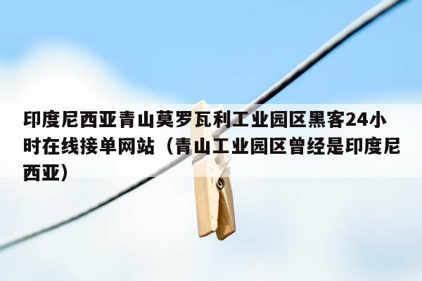 印度尼西亚青山莫罗瓦利工业园区黑客24小时在线接单网站（青山工业园区曾经是印度尼西亚）