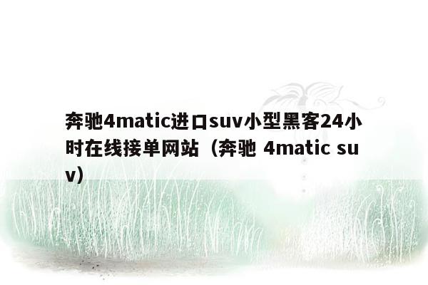 奔驰4matic进口suv小型黑客24小时在线接单网站（奔驰 4matic suv）