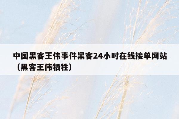 中国黑客王伟事件黑客24小时在线接单网站（黑客王伟牺牲）