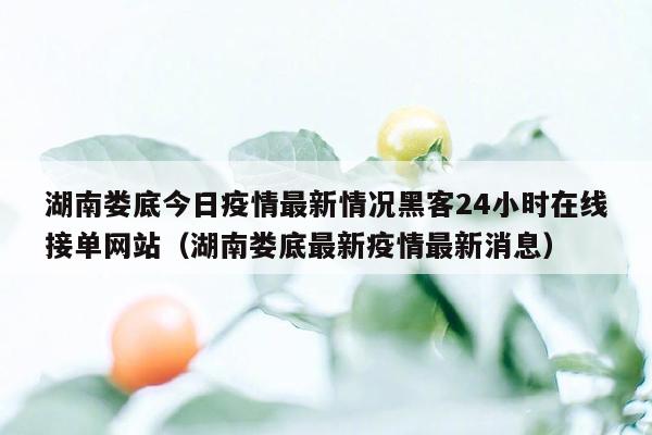 湖南娄底今日疫情最新情况黑客24小时在线接单网站（湖南娄底最新疫情最新消息）