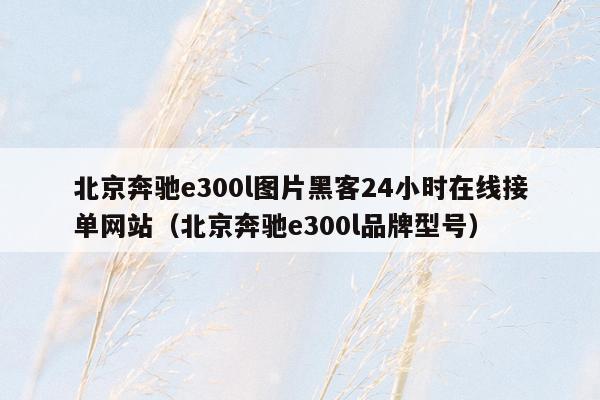 北京奔驰e300l图片黑客24小时在线接单网站（北京奔驰e300l品牌型号）