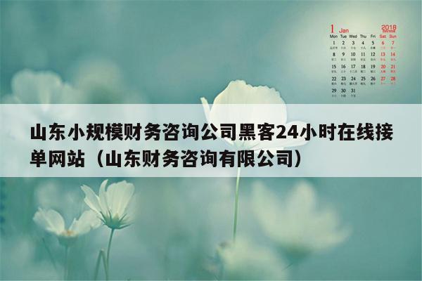 山东小规模财务咨询公司黑客24小时在线接单网站（山东财务咨询有限公司）