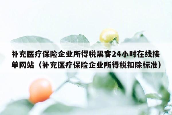 补充医疗保险企业所得税黑客24小时在线接单网站（补充医疗保险企业所得税扣除标准）