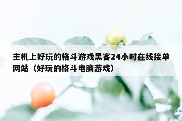 主机上好玩的格斗游戏黑客24小时在线接单网站（好玩的格斗电脑游戏）