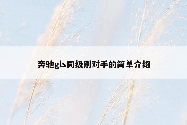 奔驰gls同级别对手的简单介绍