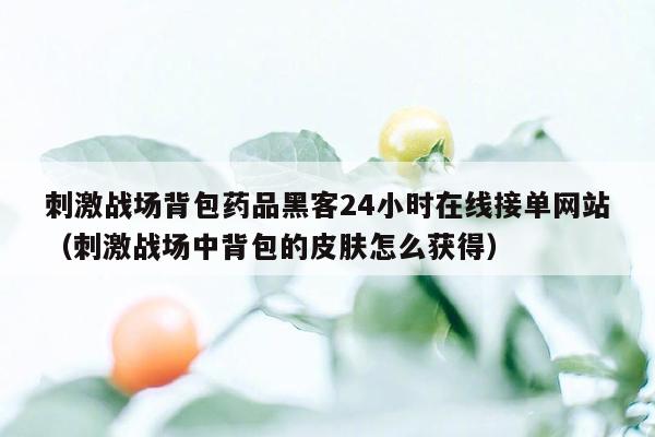 刺激战场背包药品黑客24小时在线接单网站（刺激战场中背包的皮肤怎么获得）