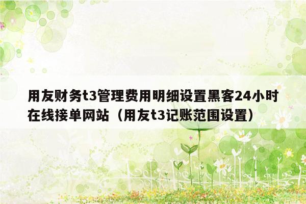 用友财务t3管理费用明细设置黑客24小时在线接单网站（用友t3记账范围设置）