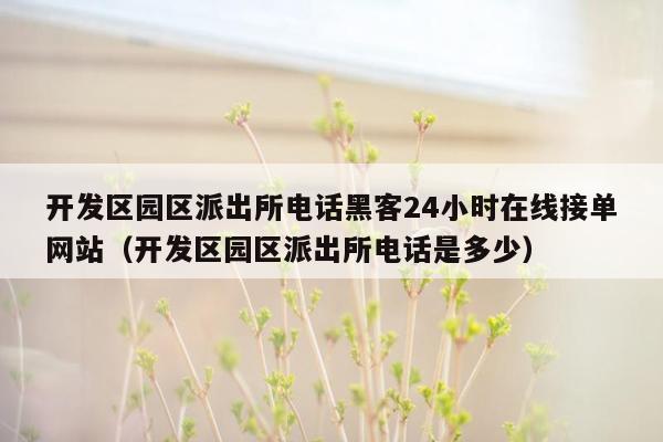 开发区园区派出所电话黑客24小时在线接单网站（开发区园区派出所电话是多少）