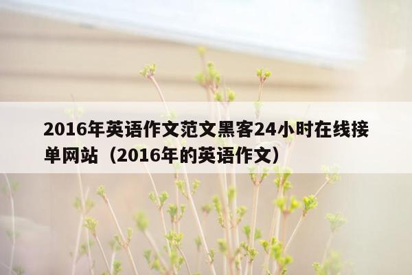 2016年英语作文范文黑客24小时在线接单网站（2016年的英语作文）