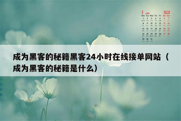 成为黑客的秘籍黑客24小时在线接单网站（成为黑客的秘籍是什么）