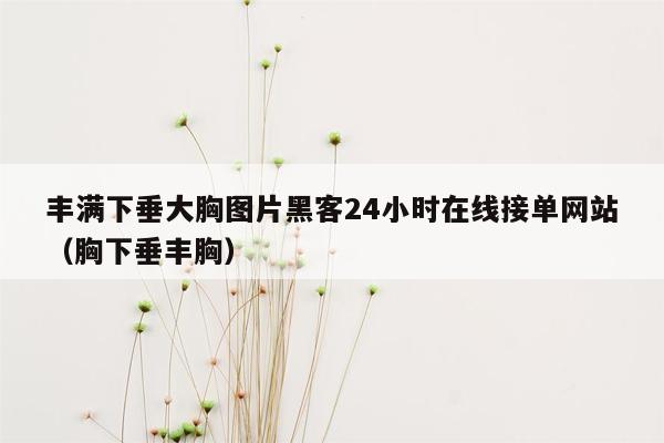 丰满下垂大胸图片黑客24小时在线接单网站（胸下垂丰胸）