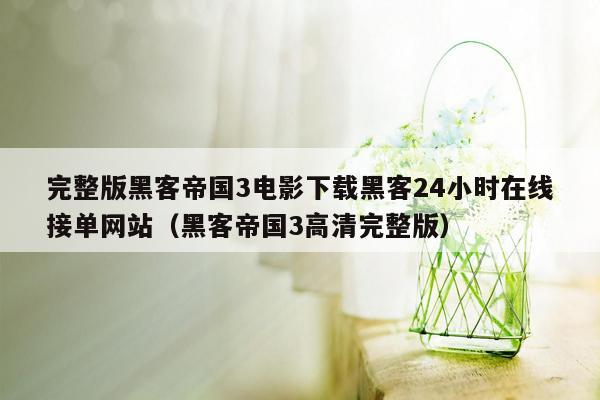 完整版黑客帝国3电影下载黑客24小时在线接单网站（黑客帝国3高清完整版）