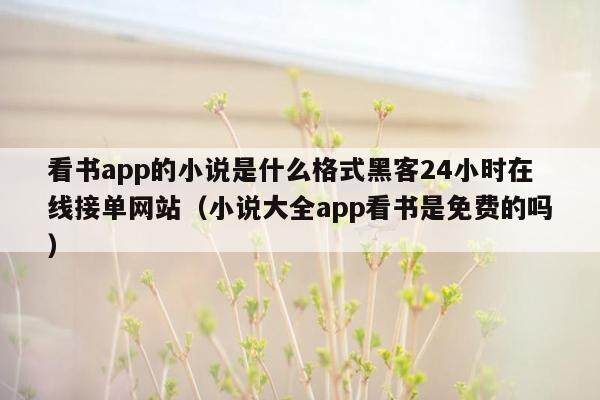 看书app的小说是什么格式黑客24小时在线接单网站（小说大全app看书是免费的吗）