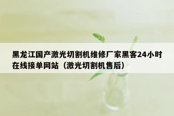 黑龙江国产激光切割机维修厂家黑客24小时在线接单网站（激光切割机售后）