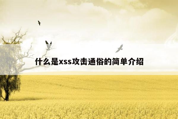 什么是xss攻击通俗的简单介绍