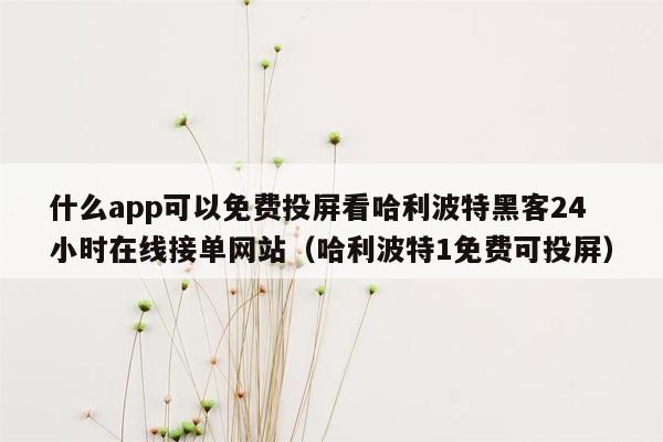 什么app可以免费投屏看哈利波特黑客24小时在线接单网站（哈利波特1免费可投屏）