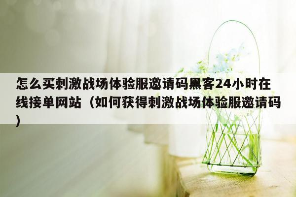 怎么买刺激战场体验服邀请码黑客24小时在线接单网站（如何获得刺激战场体验服邀请码）