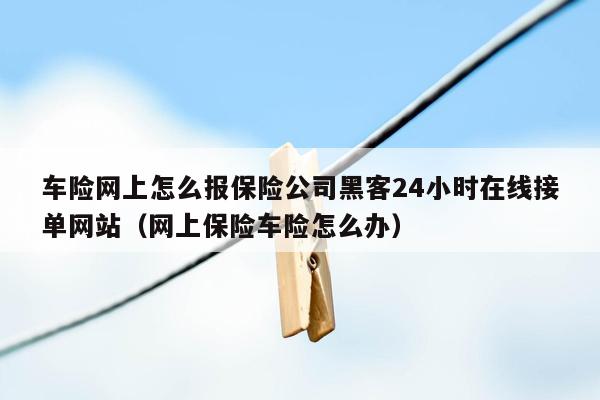 车险网上怎么报保险公司黑客24小时在线接单网站（网上保险车险怎么办）