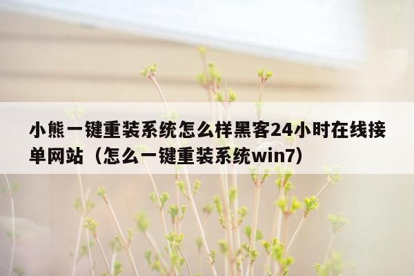 小熊一键重装系统怎么样黑客24小时在线接单网站（怎么一键重装系统win7）