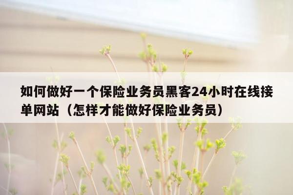 如何做好一个保险业务员黑客24小时在线接单网站（怎样才能做好保险业务员）