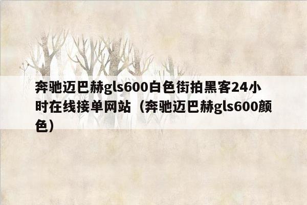 奔驰迈巴赫gls600白色街拍黑客24小时在线接单网站（奔驰迈巴赫gls600颜色）