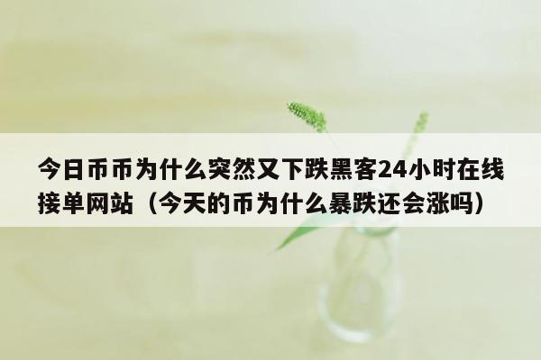 今日币币为什么突然又下跌黑客24小时在线接单网站（今天的币为什么暴跌还会涨吗）