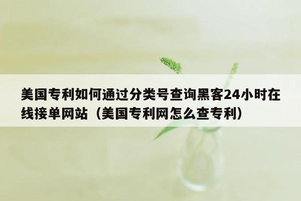 美国专利如何通过分类号查询黑客24小时在线接单网站（美国专利网怎么查专利）