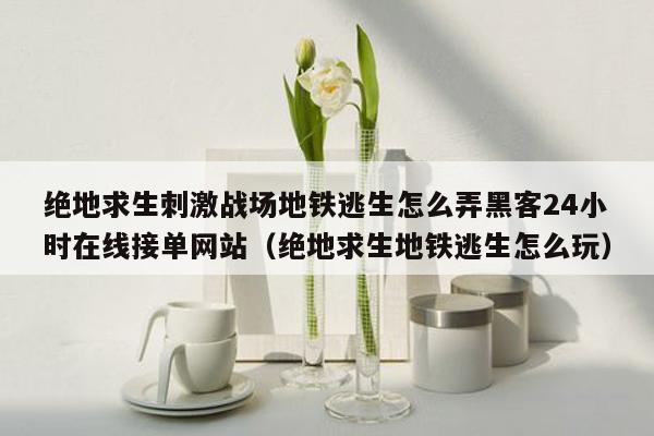 绝地求生刺激战场地铁逃生怎么弄黑客24小时在线接单网站（绝地求生地铁逃生怎么玩）