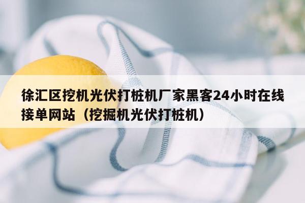 徐汇区挖机光伏打桩机厂家黑客24小时在线接单网站（挖掘机光伏打桩机）