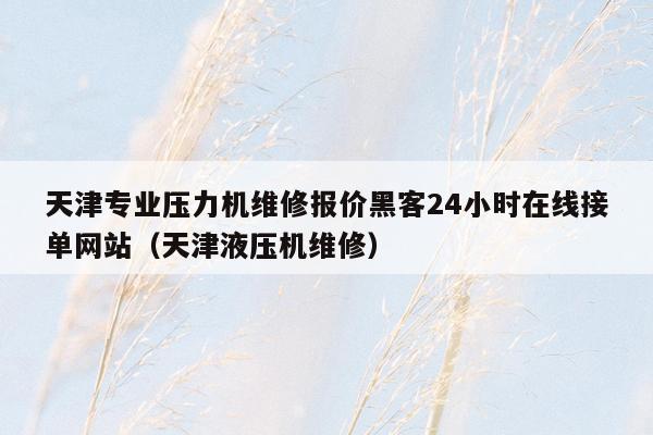 天津专业压力机维修报价黑客24小时在线接单网站（天津液压机维修）