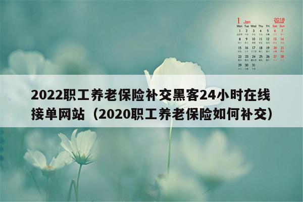 2022职工养老保险补交黑客24小时在线接单网站（2020职工养老保险如何补交）