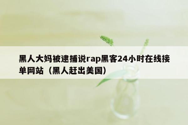 黑人大妈被逮捕说rap黑客24小时在线接单网站（黑人赶出美国）