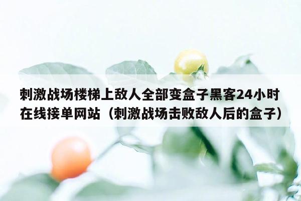 刺激战场楼梯上敌人全部变盒子黑客24小时在线接单网站（刺激战场击败敌人后的盒子）