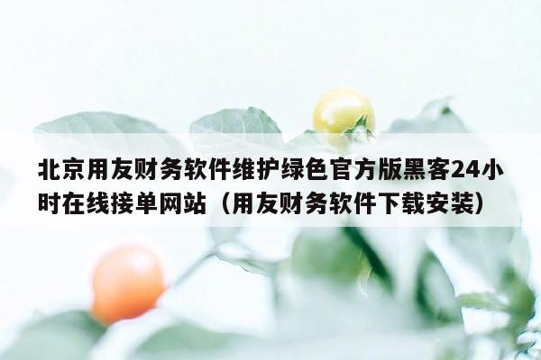 北京用友财务软件维护绿色官方版黑客24小时在线接单网站（用友财务软件下载安装）