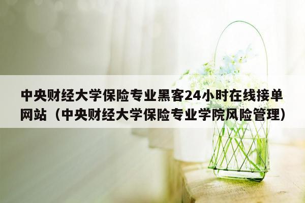 中央财经大学保险专业黑客24小时在线接单网站（中央财经大学保险专业学院风险管理）