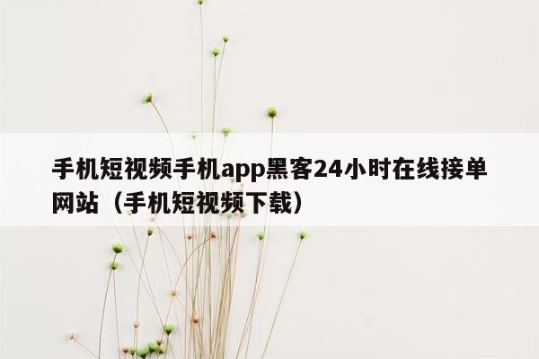 手机短视频手机app黑客24小时在线接单网站（手机短视频下载）