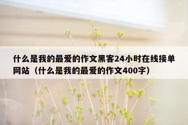 什么是我的最爱的作文黑客24小时在线接单网站（什么是我的最爱的作文400字）