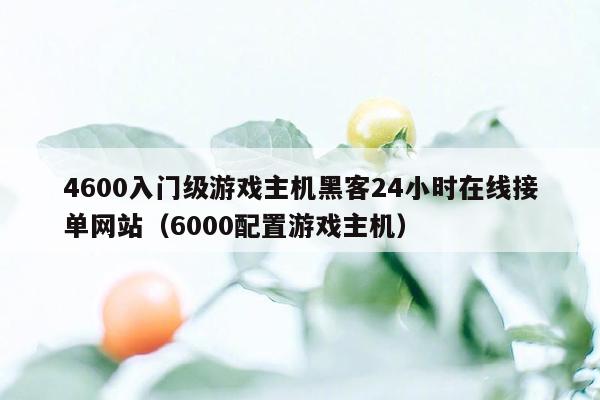 4600入门级游戏主机黑客24小时在线接单网站（6000配置游戏主机）