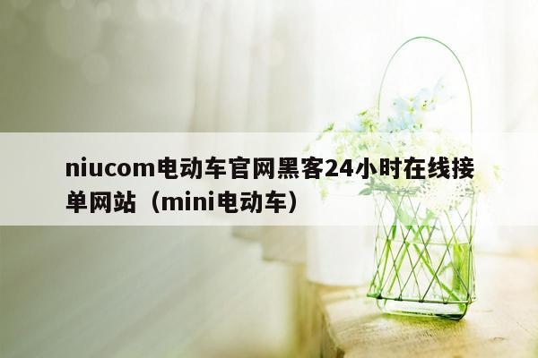 niucom电动车官网黑客24小时在线接单网站（mini电动车）