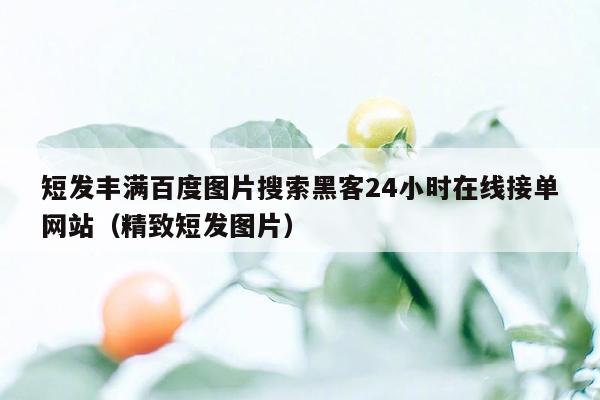 短发丰满百度图片搜索黑客24小时在线接单网站（精致短发图片）