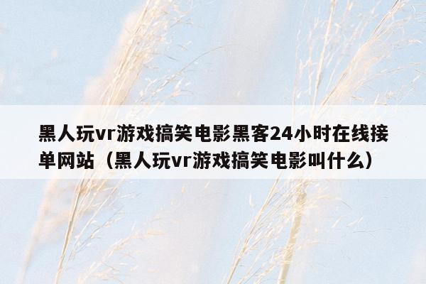 黑人玩vr游戏搞笑电影黑客24小时在线接单网站（黑人玩vr游戏搞笑电影叫什么）