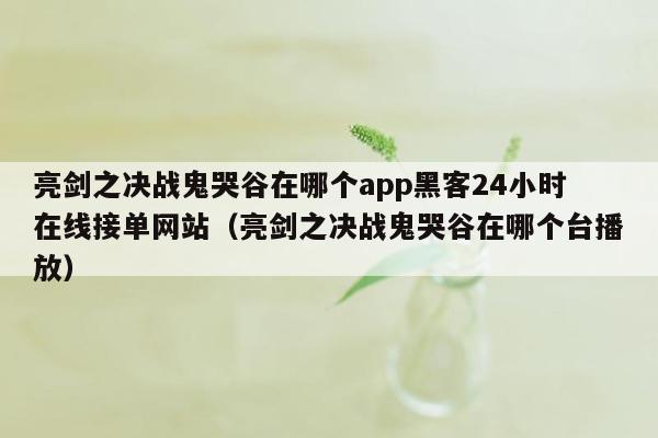 亮剑之决战鬼哭谷在哪个app黑客24小时在线接单网站（亮剑之决战鬼哭谷在哪个台播放）