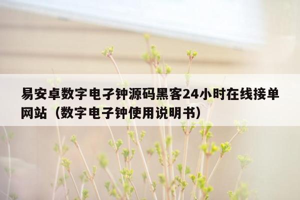 易安卓数字电孑钟源码黑客24小时在线接单网站（数字电子钟使用说明书）